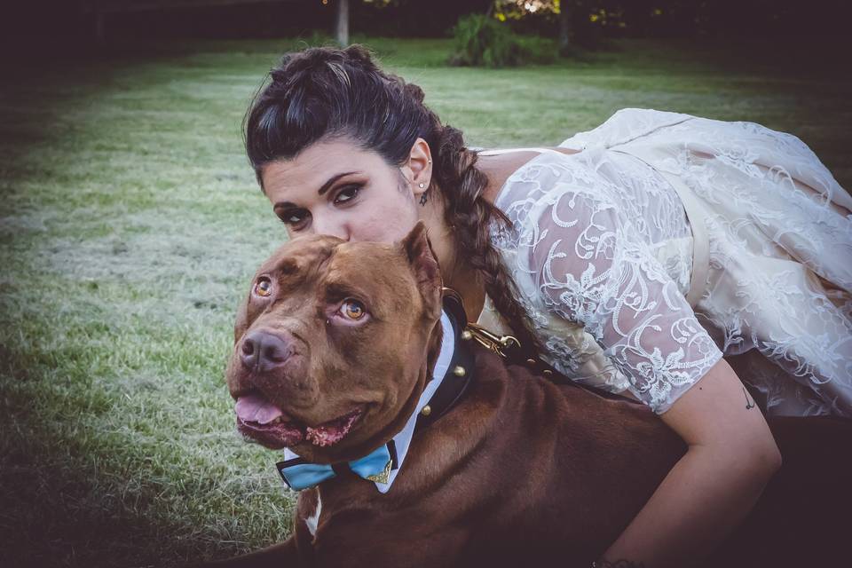 Dog sitter per Matrimoni Athena