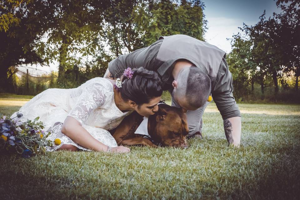 Dog sitter per Matrimoni Athena