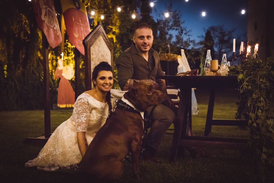 Wedding dog sitter event