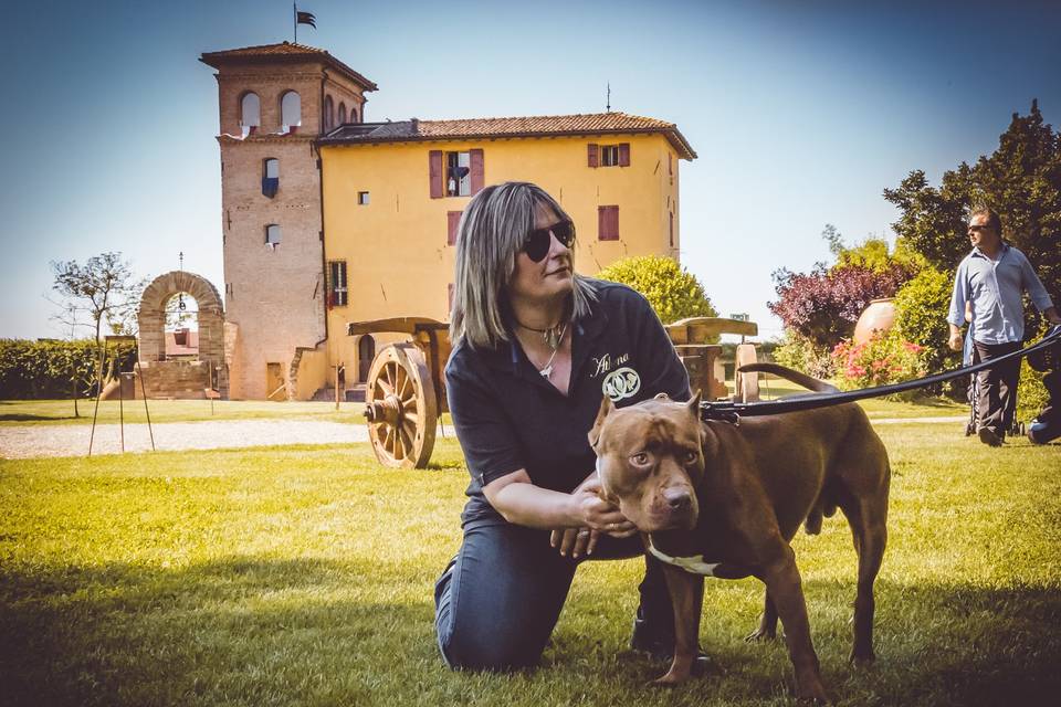 Dog sitter per Matrimoni Athena