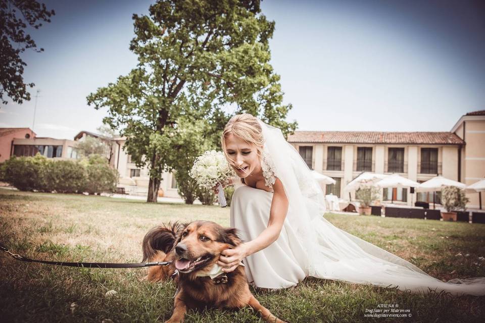 Dog sitter per Matrimoni Athena