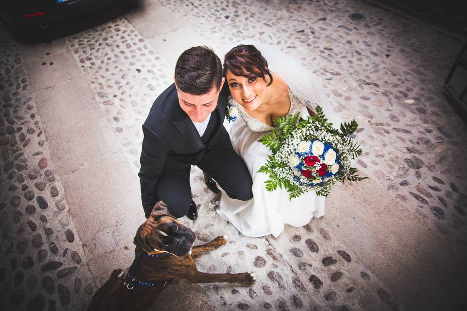 Dog sitter per Matrimoni Athena