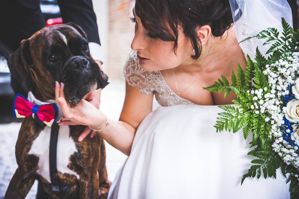 Dog sitter per Matrimoni Athena