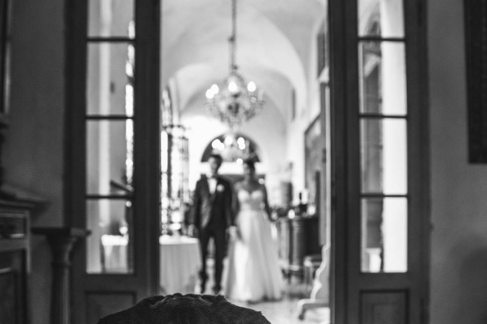 Dog sitter per Matrimoni Athena