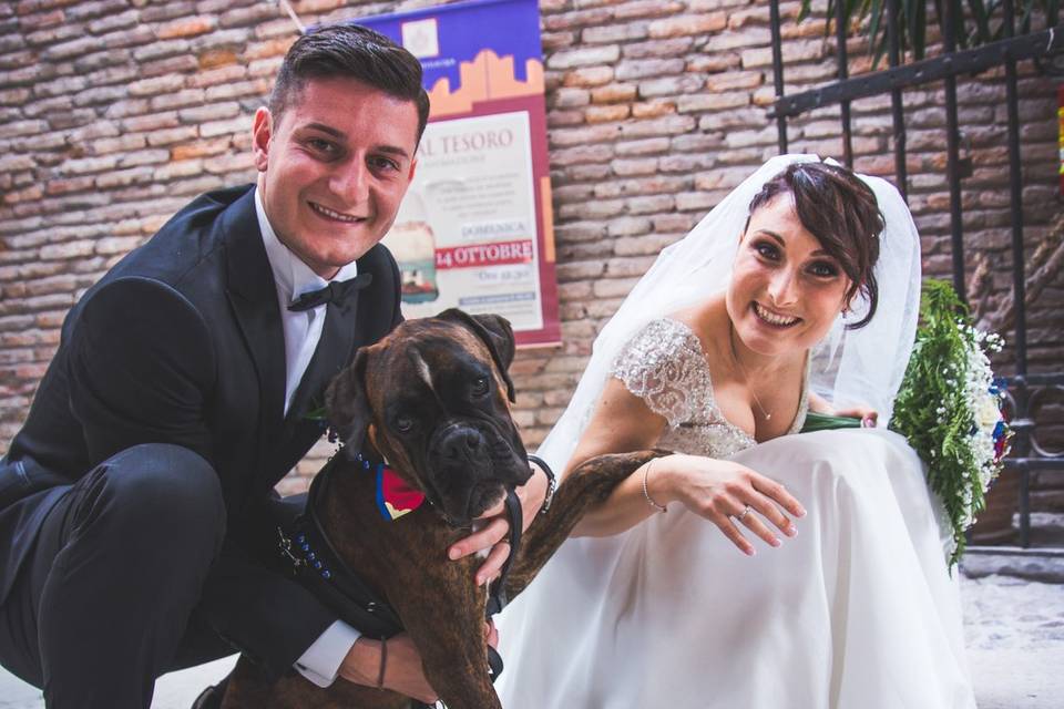 Dog sitter per Matrimoni Athena