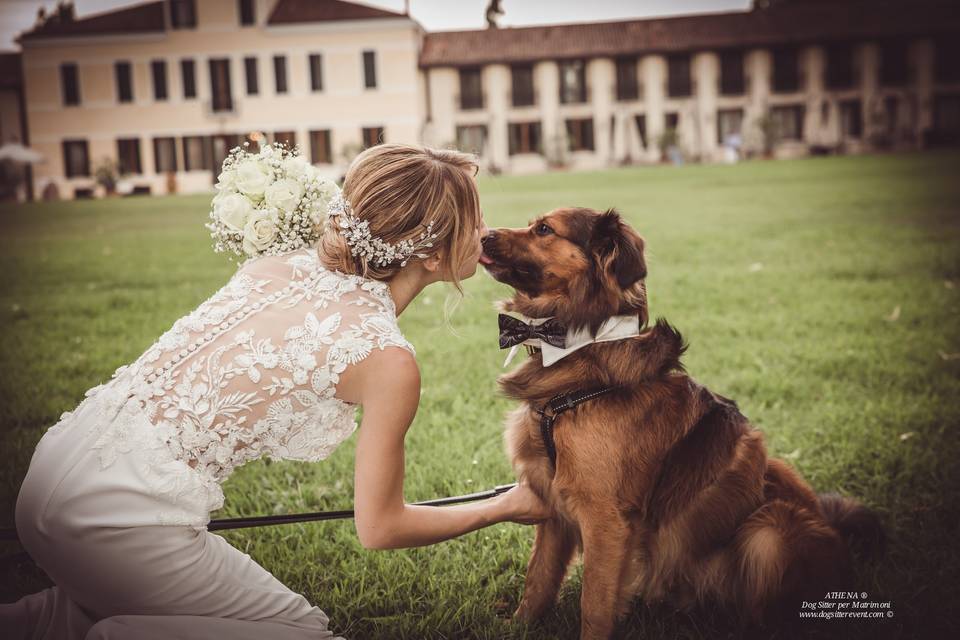 Dog sitter per Matrimoni Athena