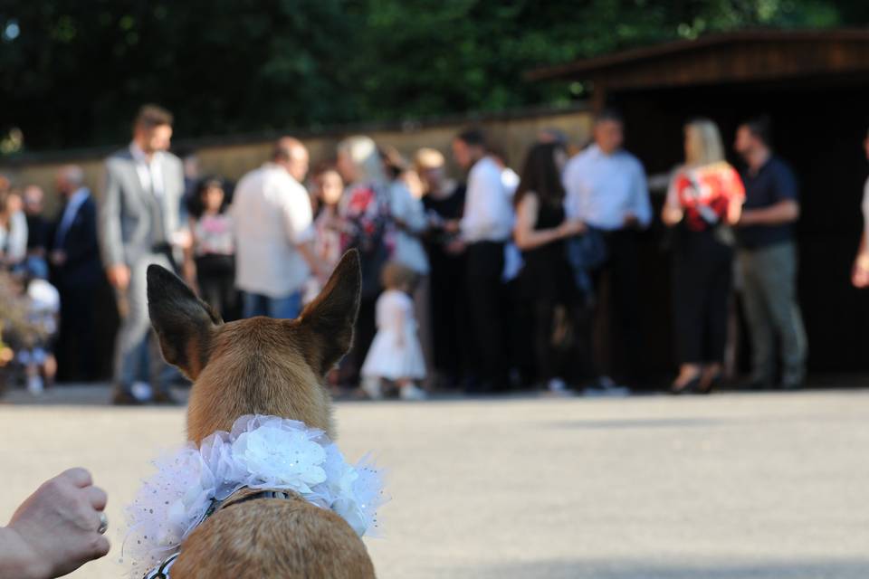 Yuki davanti alla chiesa