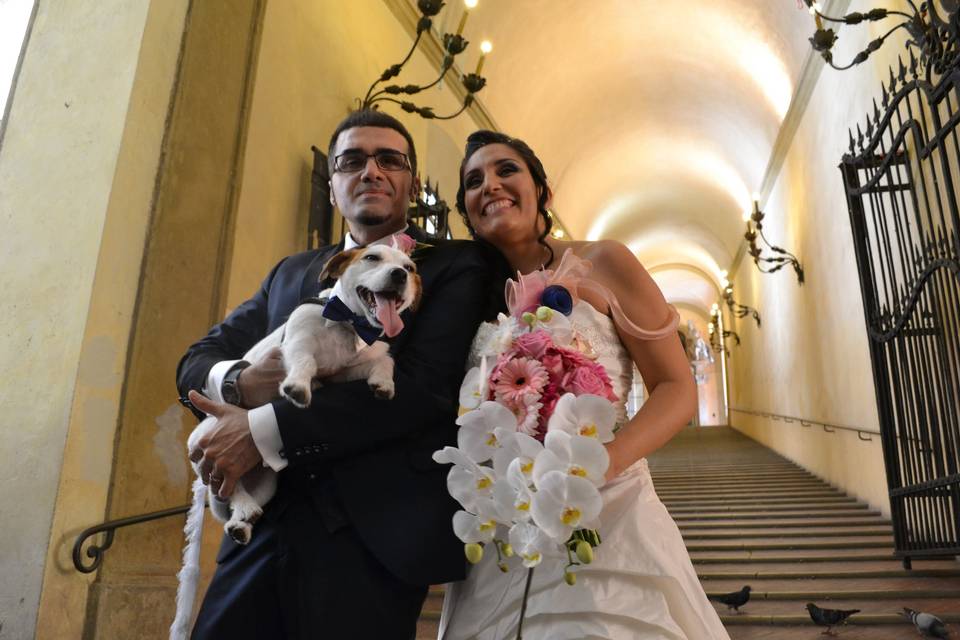 Dog sitter per Matrimoni Athena