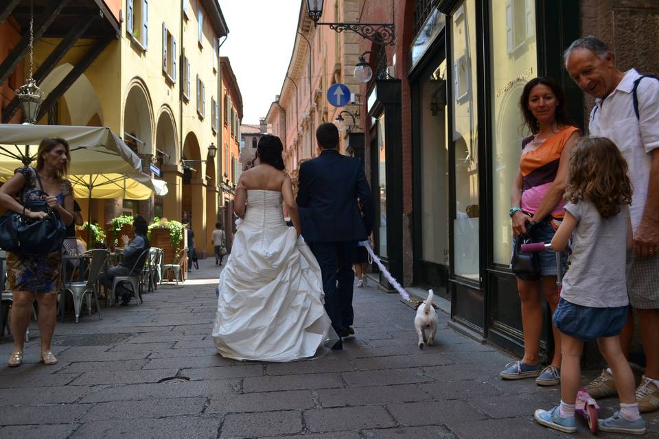 Dog sitter per Matrimoni Athena