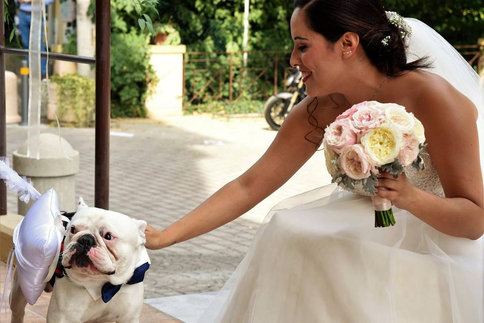 Dog sitter per Matrimoni Athena