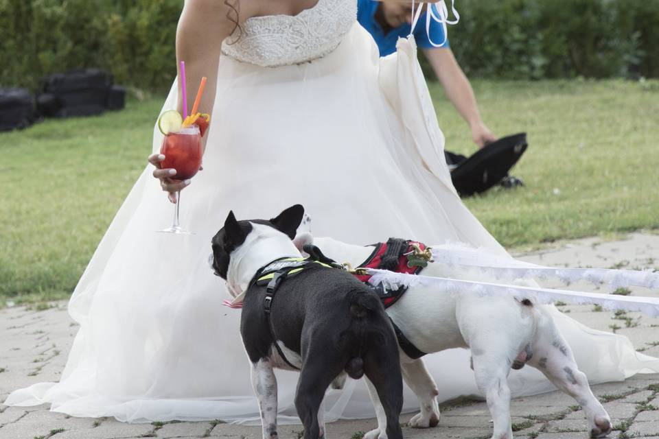 Il saluto della sposa a sally