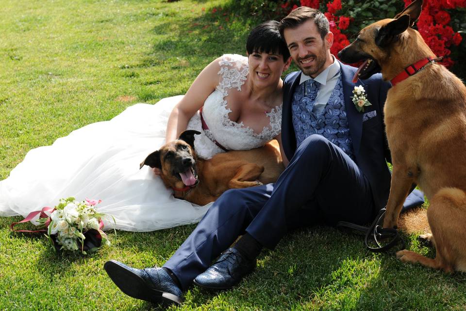 Dog sitter per Matrimoni Athena