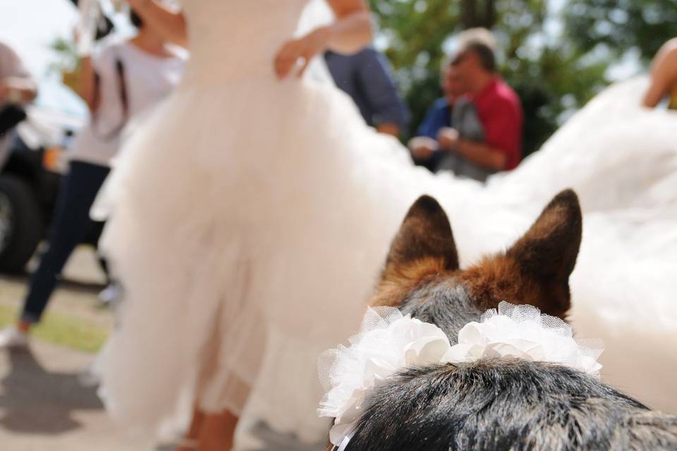 L'arrivo della sposa.