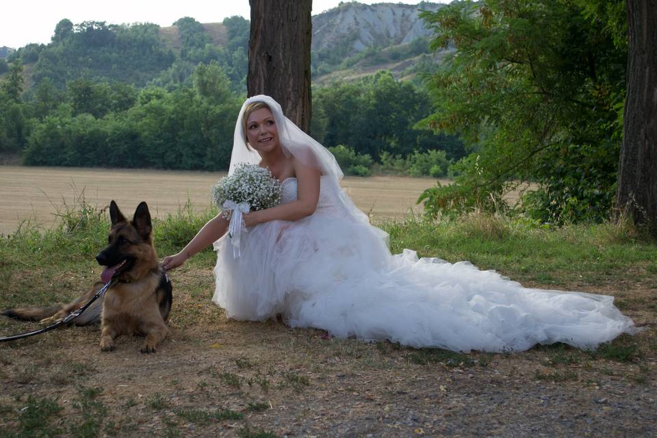 Dog sitter per Matrimoni Athena