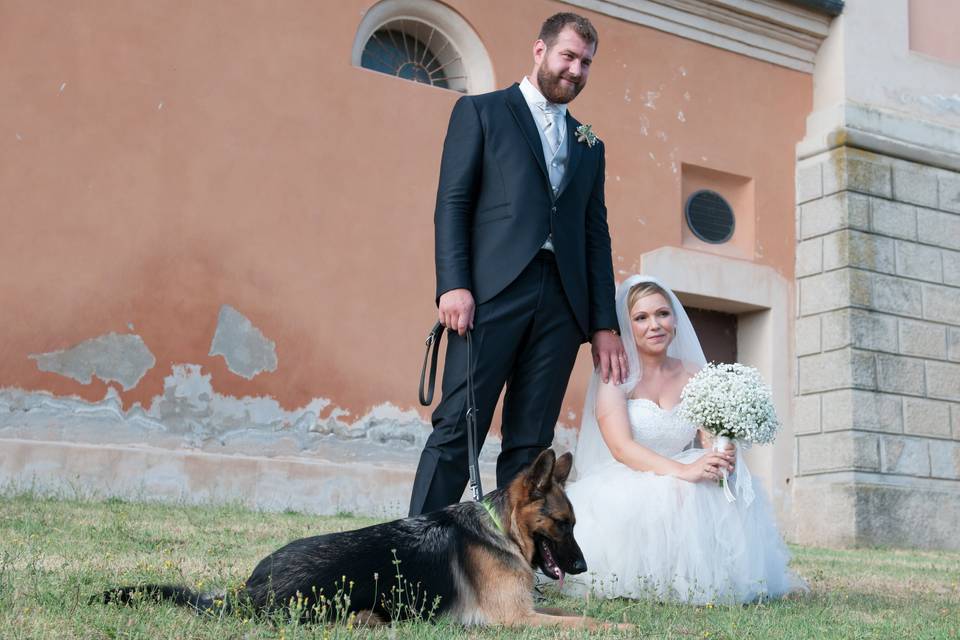 Dog sitter per Matrimoni Athena