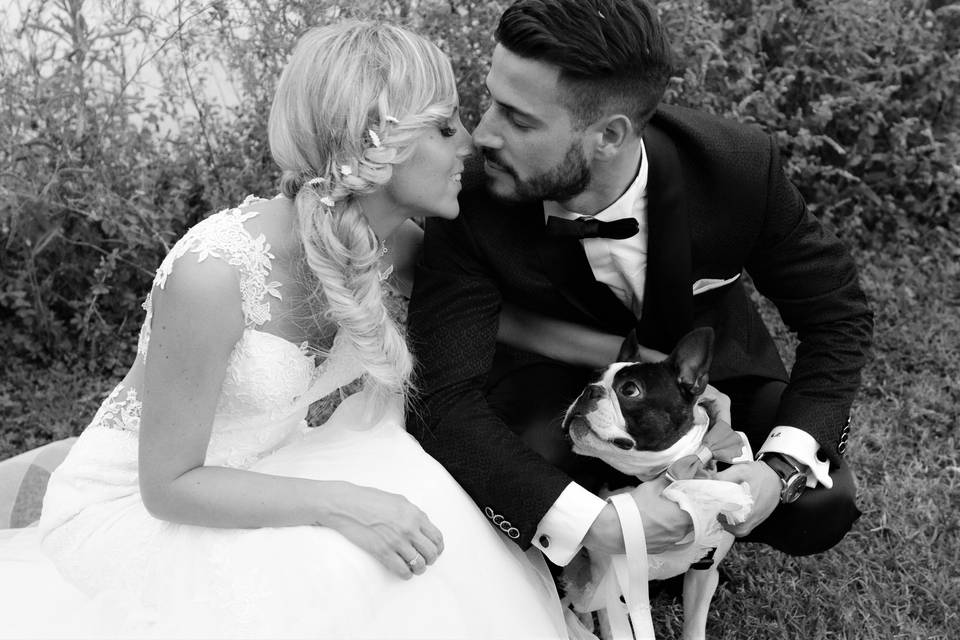 Dog sitter per Matrimoni Athena