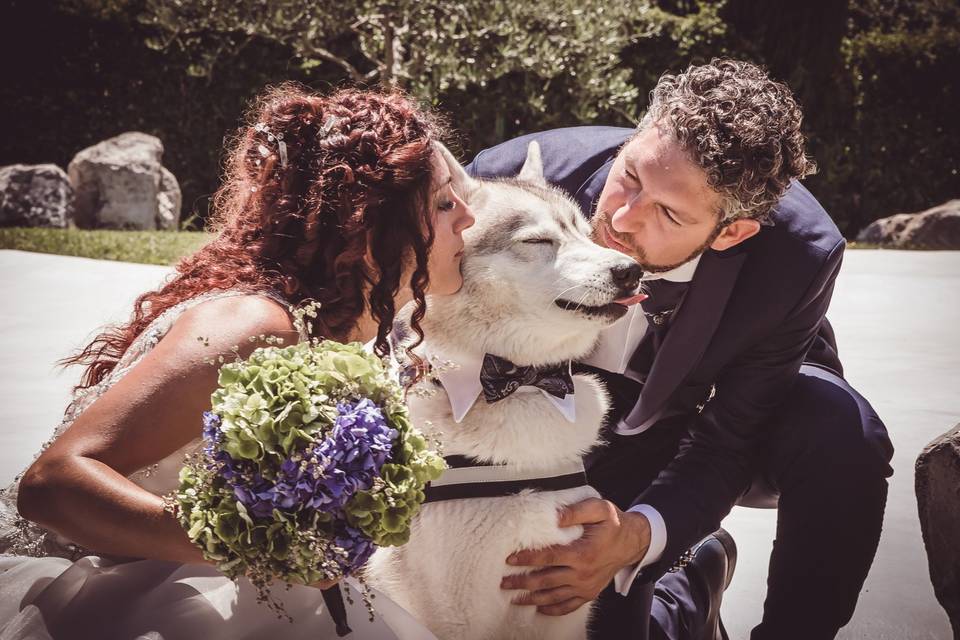 Dogsitter per matrimonio