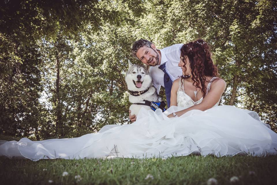 Dogsitter per matrimonio