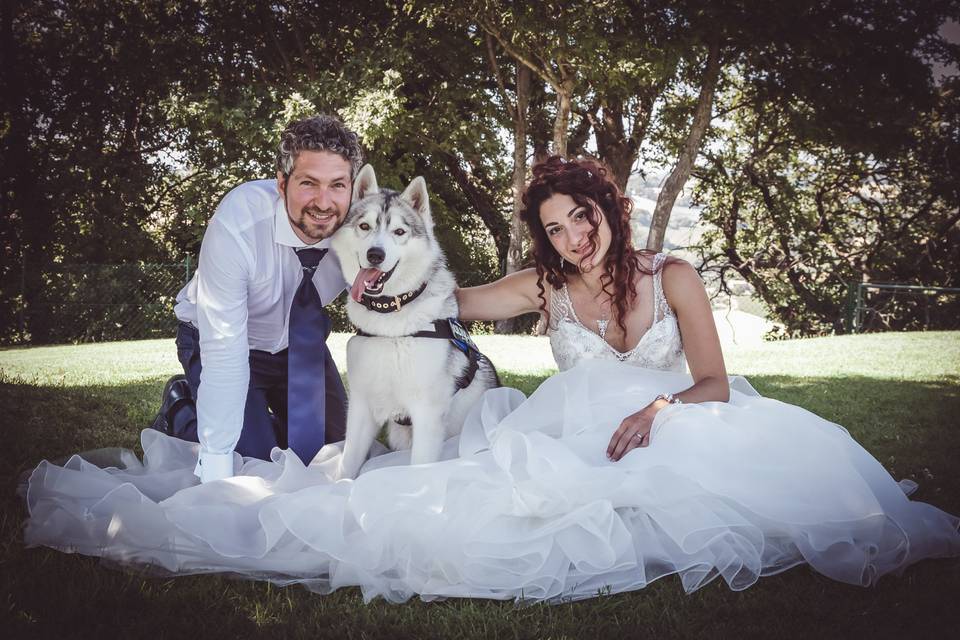 Dogsitter per matrimonio