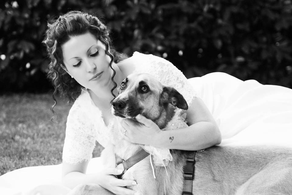 Dog sitter per Matrimoni Athena