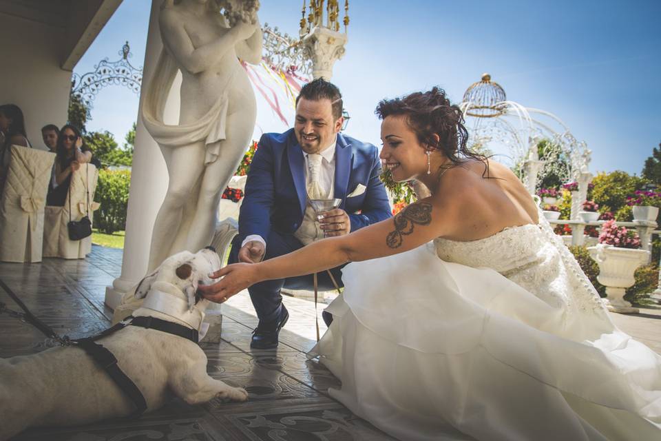 Dog sitter per Matrimoni Athena