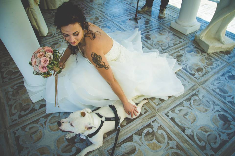 Dog sitter per Matrimoni Athena