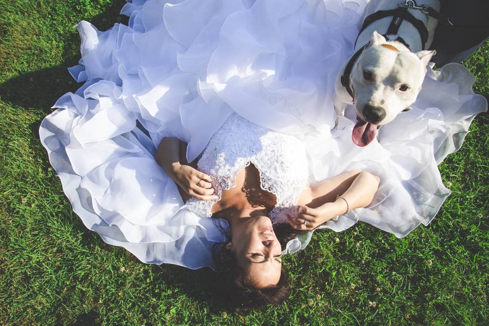 Dog sitter per Matrimoni Athena