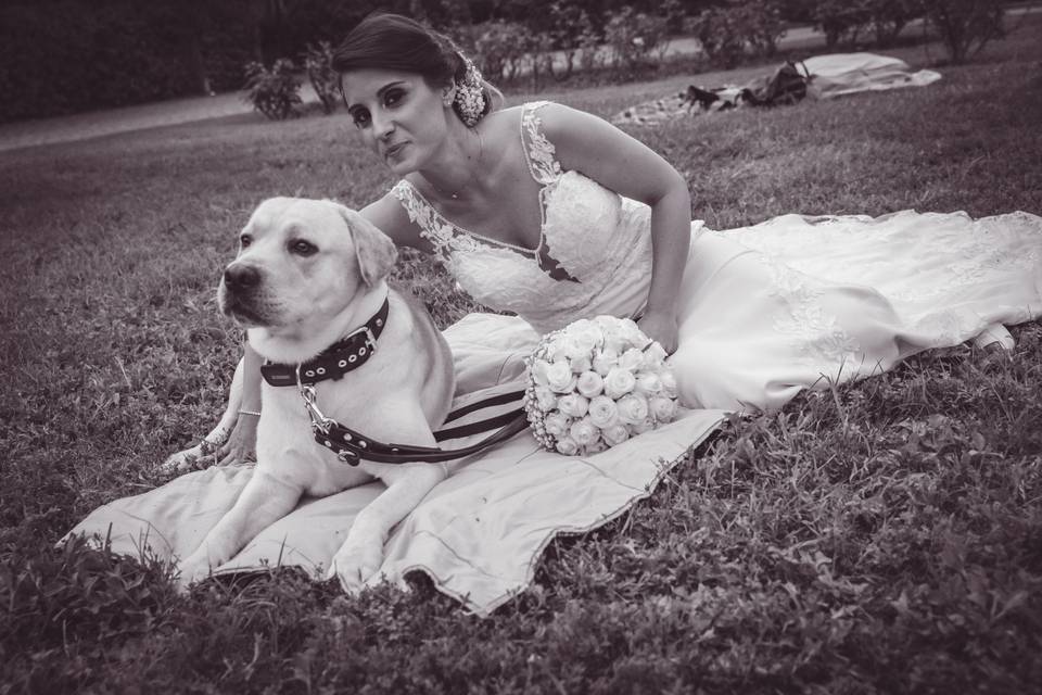 Dog sitter per Matrimoni Athena