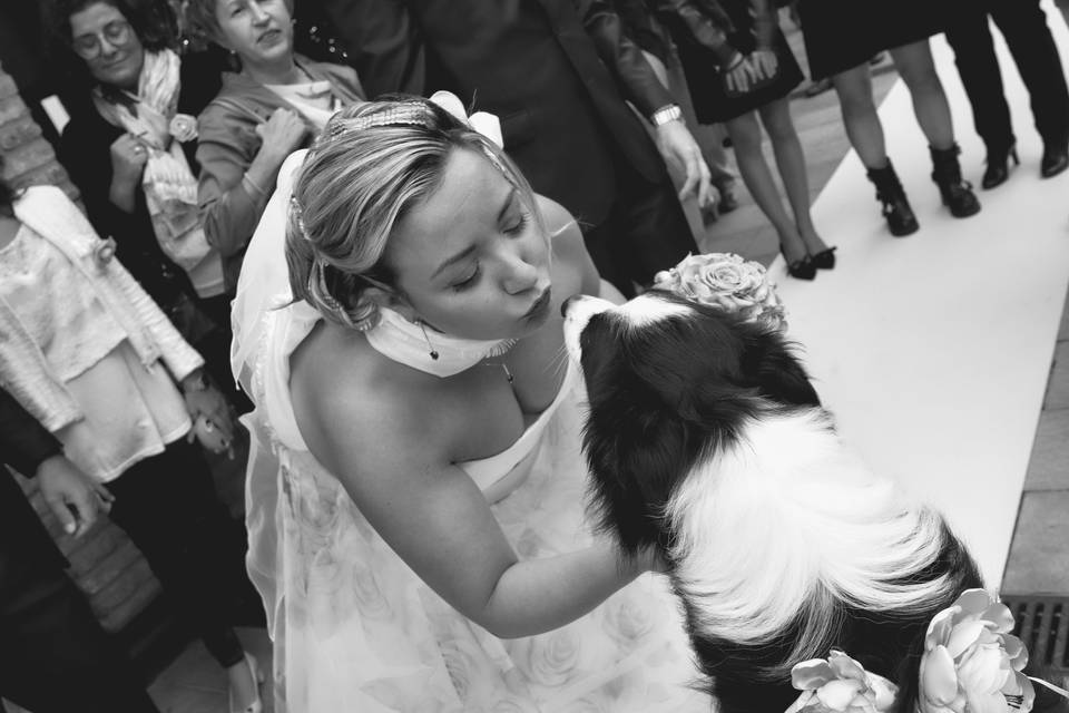 Dog sitter per Matrimoni Athena