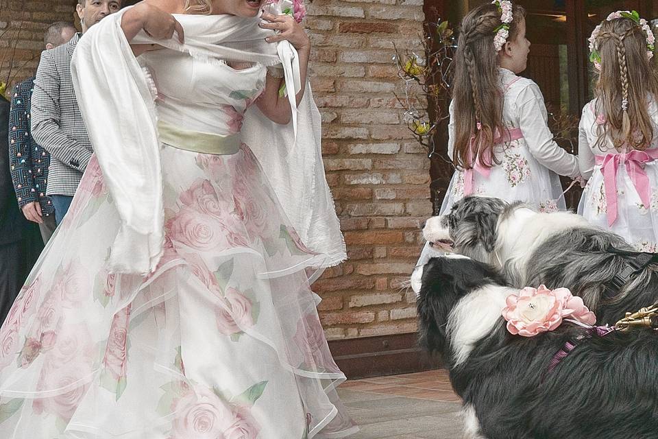 Dog sitter per Matrimoni Athena