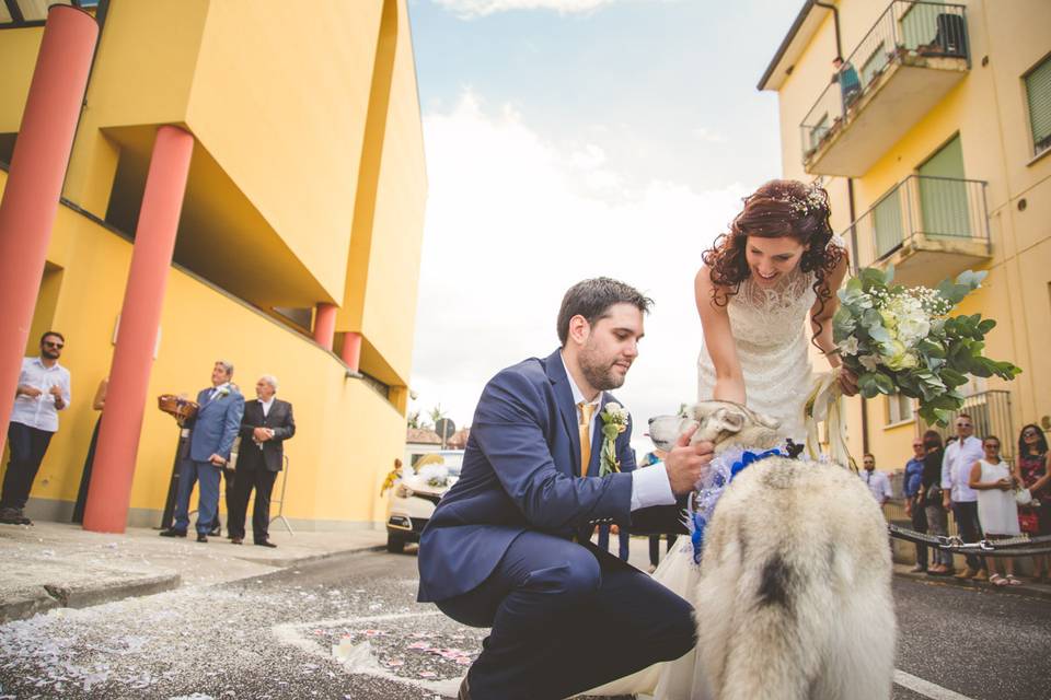 Dog sitter per Matrimoni Athena