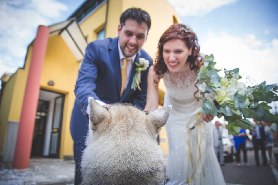 Dog sitter per Matrimoni Athena