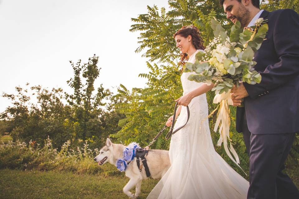 Dog sitter per Matrimoni Athena