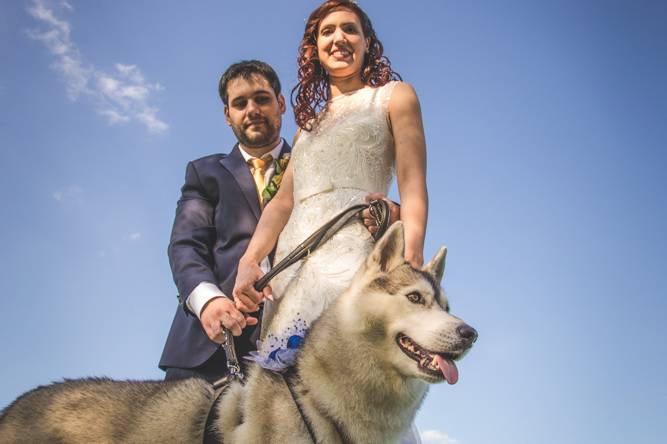 Dog sitter per Matrimoni Athena