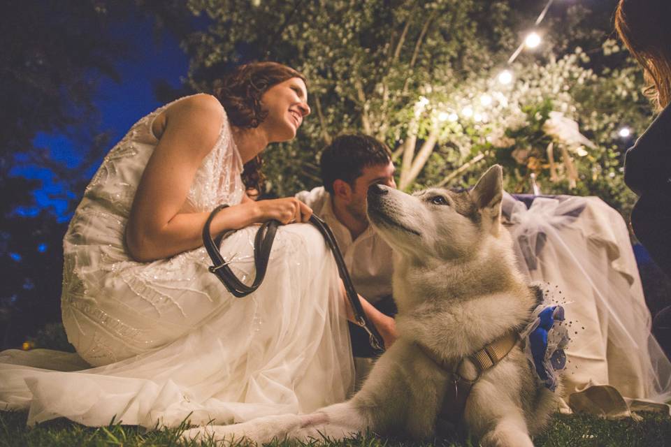 Dog sitter per Matrimoni Athena