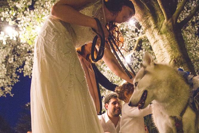 Dog sitter per Matrimoni Athena