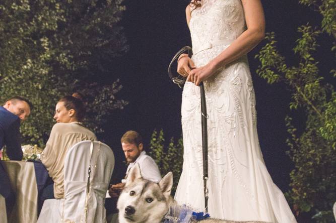 Dog sitter per Matrimoni Athena