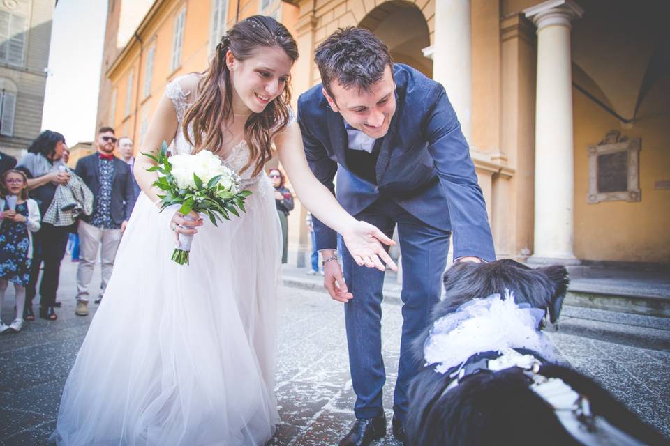 Dog sitter per Matrimoni Athena