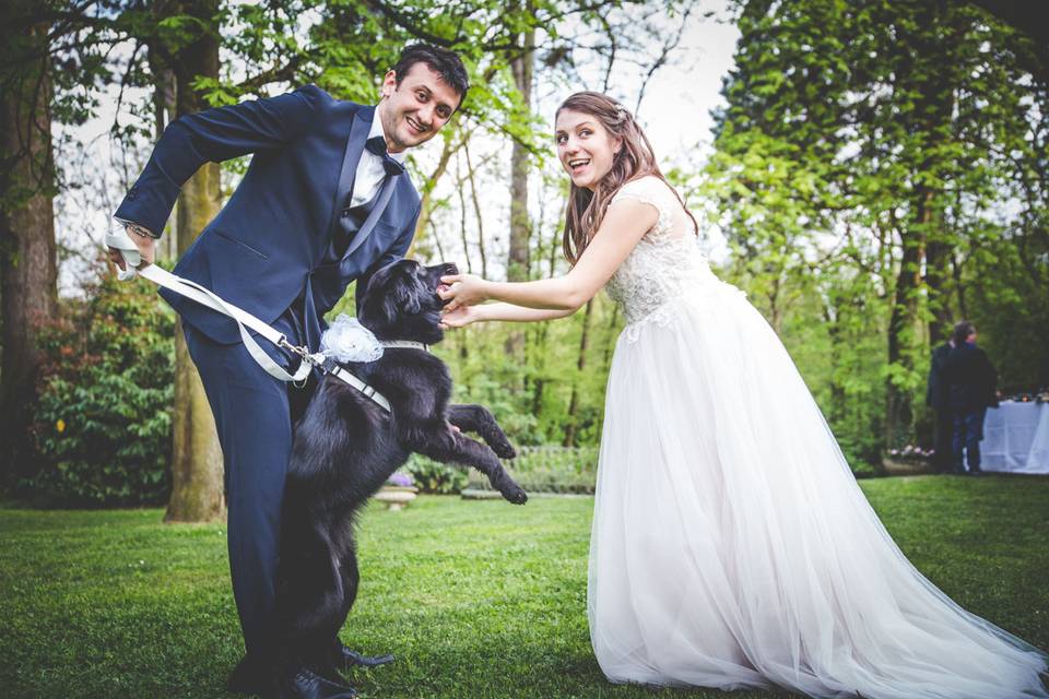 Dog sitter per Matrimoni Athena