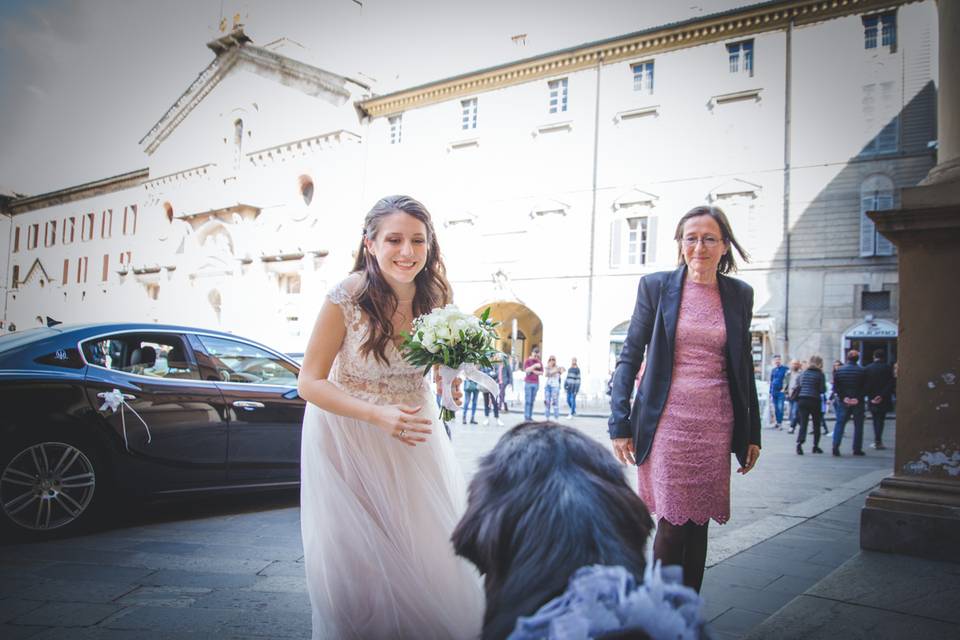 Dog sitter per Matrimoni Athena