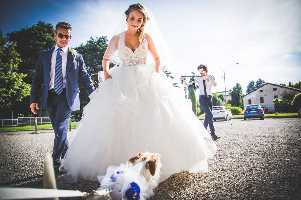 Dog sitter per Matrimoni Athena