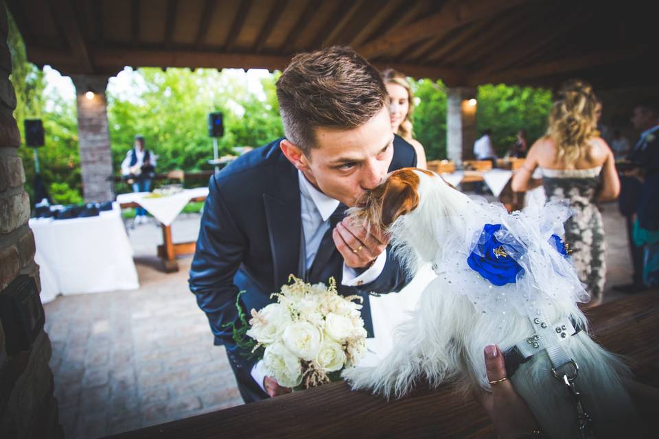 Dog sitter per Matrimoni Athena