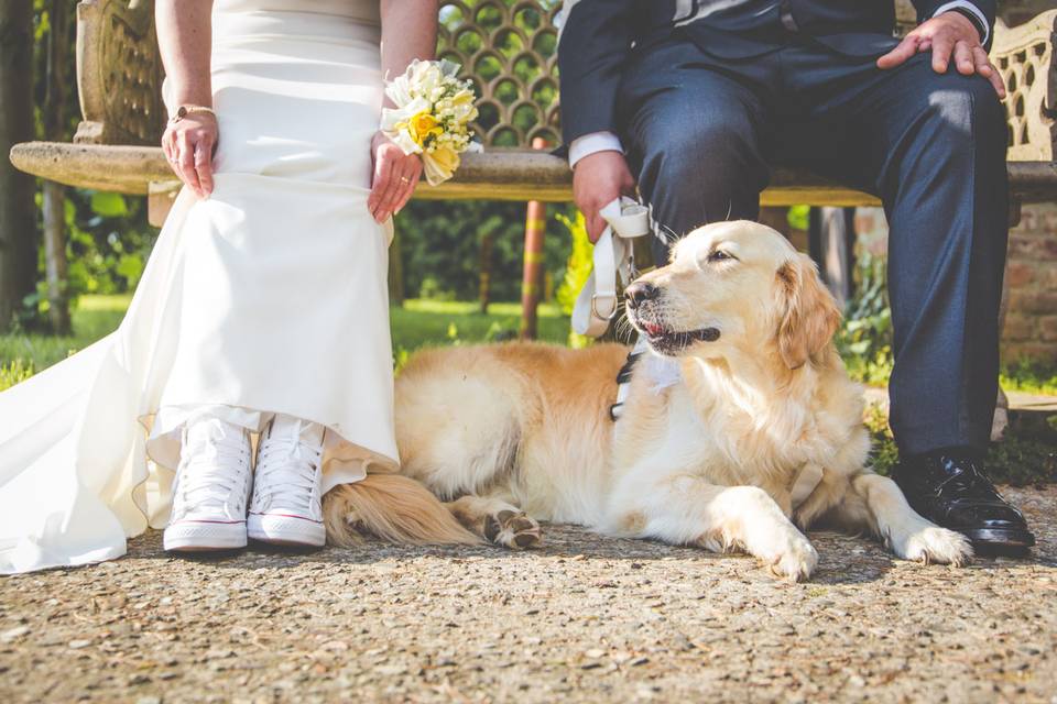 Dog sitter per Matrimoni Athena