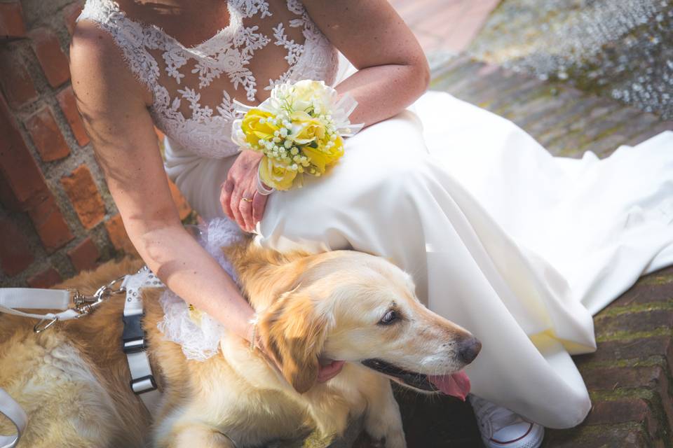 Dog sitter per Matrimoni Athena