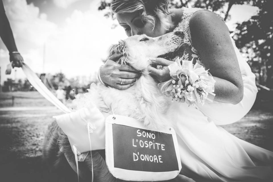 Dog sitter per Matrimoni Athena