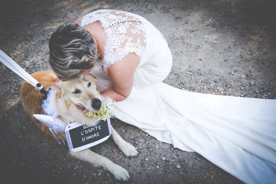 Dog sitter per Matrimoni Athena