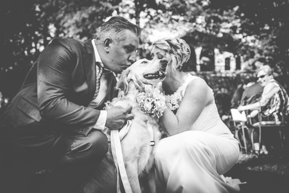 Dog sitter per Matrimoni Athena