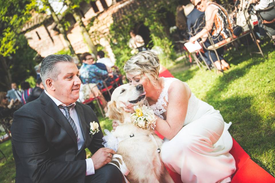 Dog sitter per Matrimoni Athena