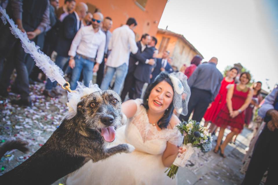 Dog sitter per matrimoni athen