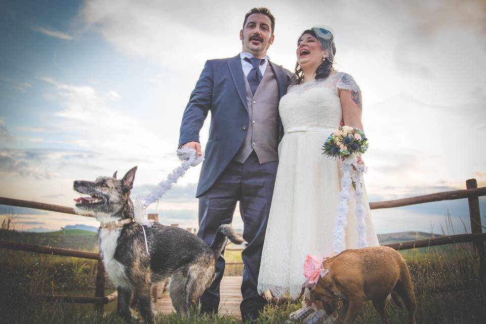 Dog sitter per Matrimoni Athena